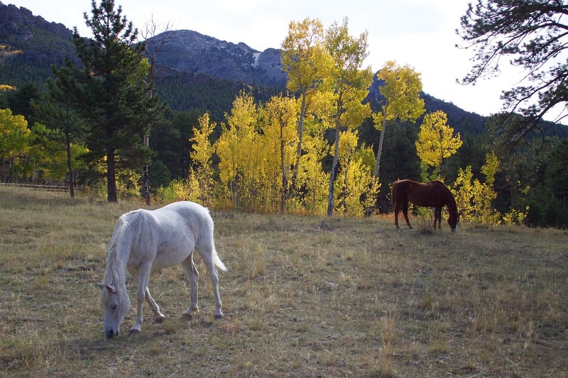 Aspen, Colorado